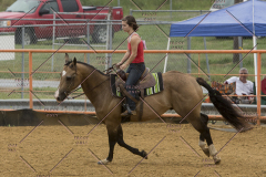 PCSChorseshow81614_IMG_3446