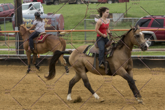 PCSChorseshow81614_IMG_3478