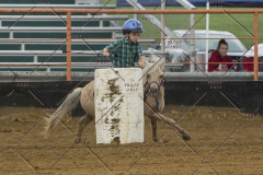 PCSChorseshow81614_IMG_4010