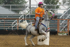 PCSChorseshow81614_IMG_4056