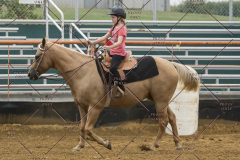 PCSChorseshow81614_IMG_4115