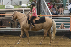 PCSChorseshow81614_IMG_4118