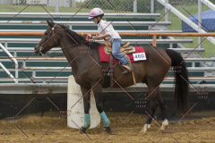 PCSChorseshow81614_IMG_4126