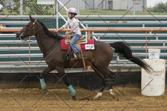 PCSChorseshow81614_IMG_4129