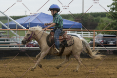 PCSChorseshow81614_IMG_4191