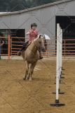 PCSChorseshow81614_IMG_4262
