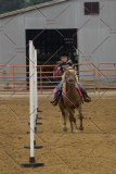 PCSChorseshow81614_IMG_4285