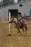 PCSChorseshow81614_IMG_4287