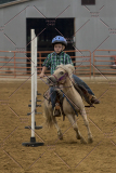 PCSChorseshow81614_IMG_4307