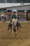 PCSChorseshow81614_IMG_4314