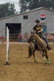 PCSChorseshow81614_IMG_4373