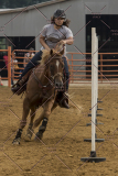 PCSChorseshow81614_IMG_4423
