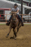 PCSChorseshow81614_IMG_4429