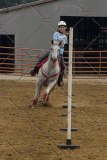 PCSChorseshow81614_IMG_4446