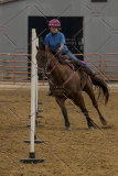 PCSChorseshow81614_IMG_4474