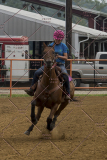 PCSChorseshow81614_IMG_4481