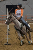 PCSChorseshow81614_IMG_4554