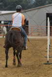 PCSChorseshow81614_IMG_4597