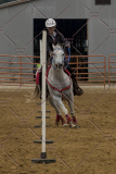 PCSChorseshow81614_IMG_4632