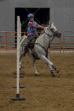 PCSChorseshow81614_IMG_4666