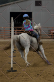PCSChorseshow81614_IMG_4671