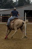 PCSChorseshow81614_IMG_4682