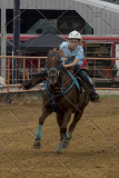 PCSChorseshow81614_IMG_4700