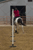 PCSChorseshow81614_IMG_4708
