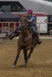PCSChorseshow81614_IMG_4726