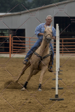 PCSChorseshow81614_IMG_4746