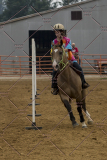 PCSChorseshow81614_IMG_4756