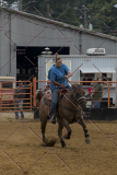 PCSChorseshow81614_IMG_4779