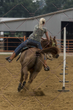 PCSChorseshow81614_IMG_4801