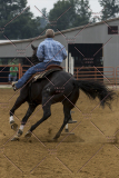 PCSChorseshow81614_IMG_4899