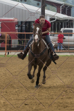 PCSChorseshow81614_IMG_4916