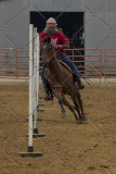 PCSChorseshow81614_IMG_4920