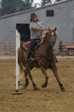 PCSChorseshow81614_IMG_5004