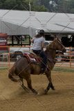 PCSChorseshow81614_IMG_3544