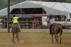 PCSChorseshow81614_IMG_3560