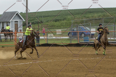 PCSChorseshow81614_IMG_3579