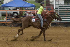 PCSChorseshow81614_IMG_3580
