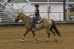 PCSChorseshow81614_IMG_3585