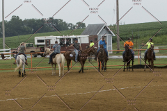 PCSChorseshow81614_IMG_3590