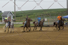 PCSChorseshow81614_IMG_3595