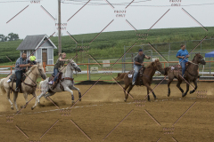 PCSChorseshow81614_IMG_3598