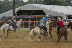 PCSChorseshow81614_IMG_3602