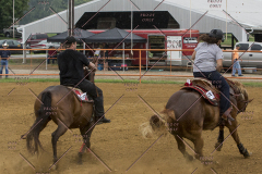 PCSChorseshow81614_IMG_3619