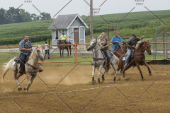 PCSChorseshow81614_IMG_3646