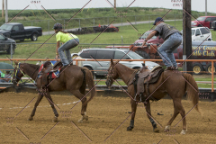 PCSChorseshow81614_IMG_3654