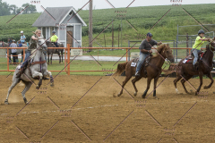 PCSChorseshow81614_IMG_3694